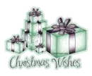 Christmas Gift Teal