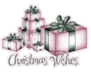 Christmas Gift Purple