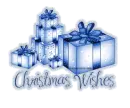 Christmas Gift Blue 