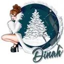 DINAH Let It Snow RV
