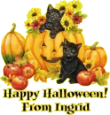 Happy Halloween