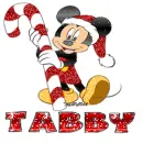 TABBY