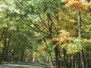Fall is here