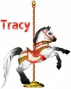 Horse with Tracy name
