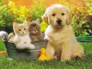 so sweet
