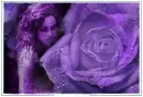 Violet Tears