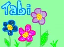 Tabi