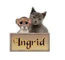 INGRID