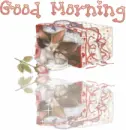 GOOD MORNING