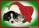 Christmas friends