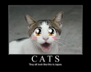 I iz anime.