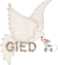 GIED