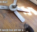 Iz waz borthin' me.