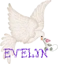 EVELYN
