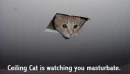 Masterbate.