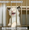 I's gaught da blooooz.