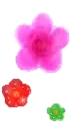 CUTE FLOWERS