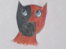 Pitt Bull 