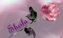 SHEILA