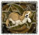 Good Night Puppy