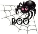 HALLOWEEN SPIDER