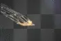 flying tink