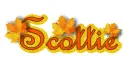 scottie