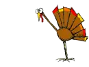 Happy Turkey Day