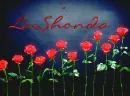 Lashonda-Roses