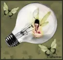 luz y mariposas