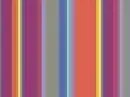 Color Stripes 