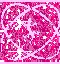 Pink Skem9 Glitter Tag