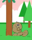 castor