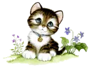 Happy Kitten