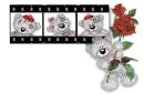 teddy bear