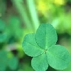 lucky