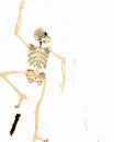 I LOVE HALLOWEEN SKELETON