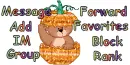 Bear in pumpkin