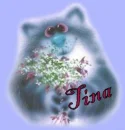 TINA
