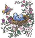 BIRDS 