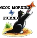 CAT AND BUTTERFLY