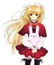 Teddy