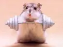 LIFT!!!!