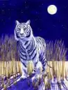 fantasy tiger