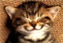 Im happy