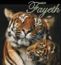 FAYETH