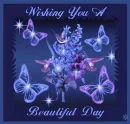 Have a Beautiful Day