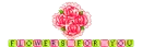 Roses to a friend