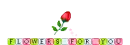 Rose for a friend