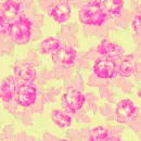 pink flower